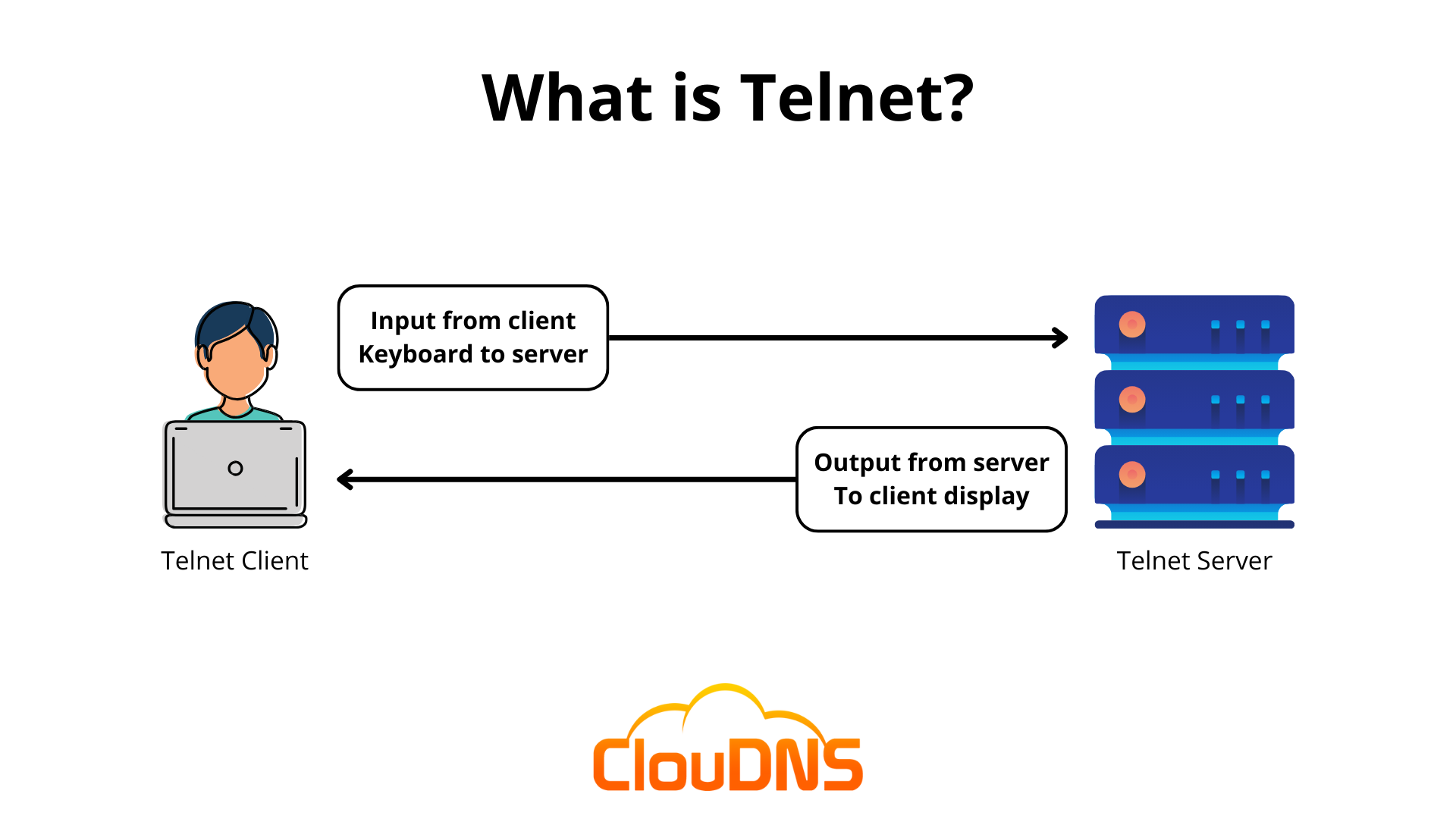 Telnet Explained: What Is It and How It Works? - ClouDNS Blog